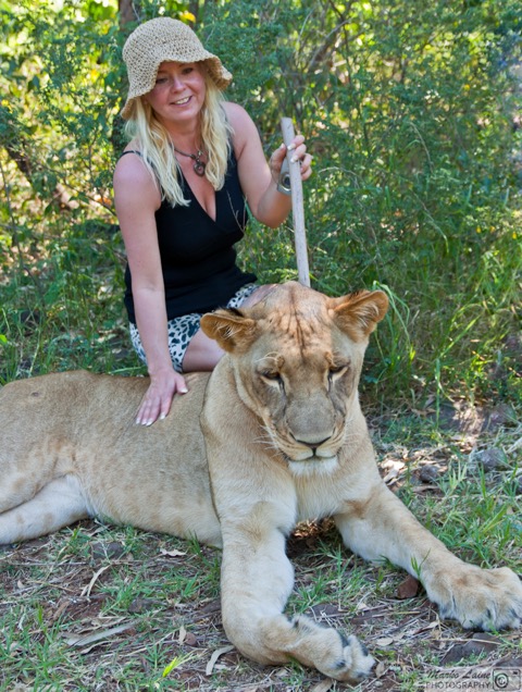 Nina Laine ja Mauritiuksen leijona